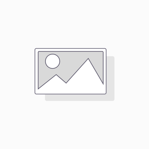 VTGO Object Storage 250G