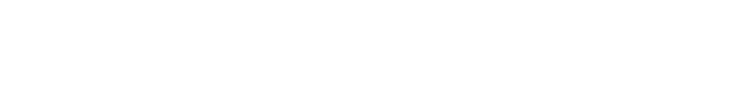 VLTM Holding