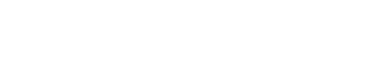 VLTM Holding